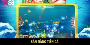 Bắn nàng tiên cá