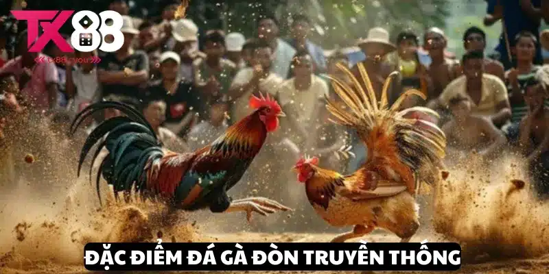Đá Gà Đòn Truyền Thống - Hình Thức Giải Trí Xanh Chín Tại TX88 2 Khám phá đặc điểm thi đấu đá gà đòn truyền thống