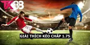 Giải thích kèo chấp 1.75