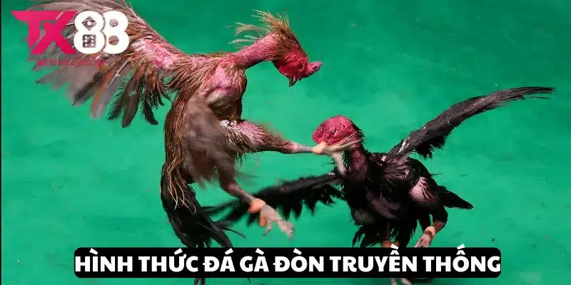Đá Gà Đòn Truyền Thống - Hình Thức Giải Trí Xanh Chín Tại TX88 1 Tìm hiểu về hình thức đá gà đòn truyền thống đầy độc đáo