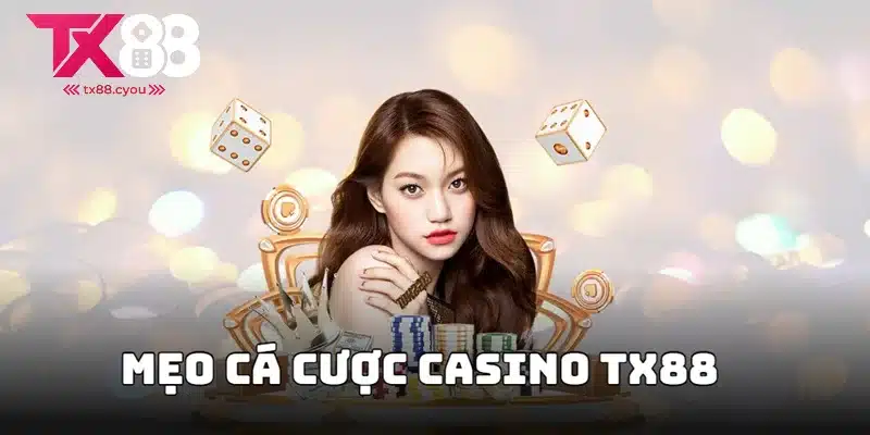 Mẹo cược Casino đỉnh cao cho tân binh