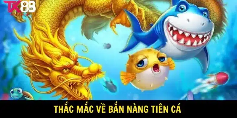 Bắn Nàng Tiên Cá – Chinh Phục Đại Dương, Săn Thưởng Cực Đỉnh 3 Thắc mắc về bắn nàng tiên cá