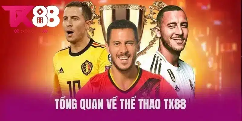 Tổng hợp không gian cá độ thể thao uy tín hàng đầu thị trường