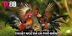 thuật ngữ đá gà phổ biến