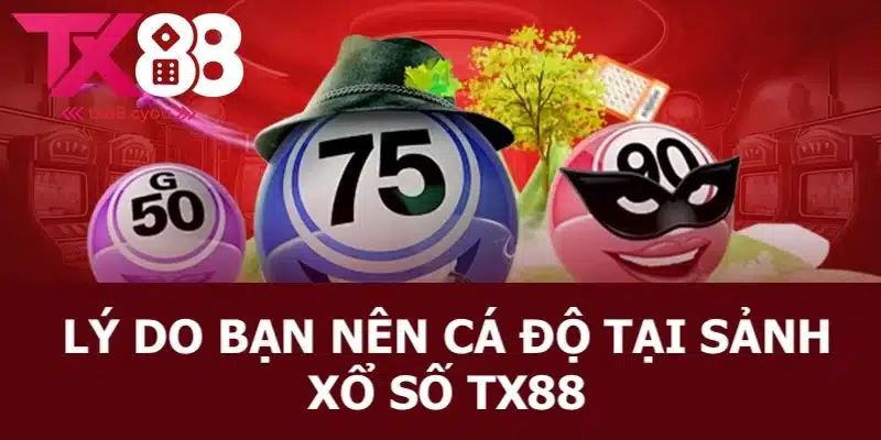 Lý do anh em nên cá độ tại sảnh xổ số của nhà cái